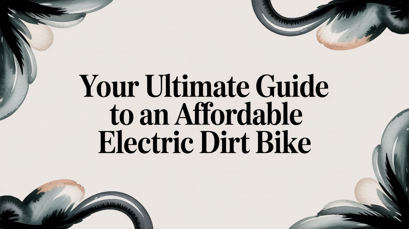 Your Ultimate Guide to an Affordable Electric Dirt Bike