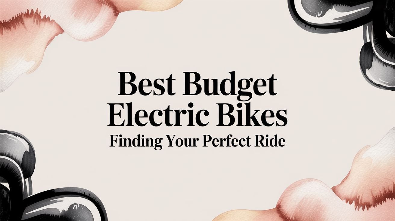 Best Budget Electric Bikes Finding Your Perfect Ride