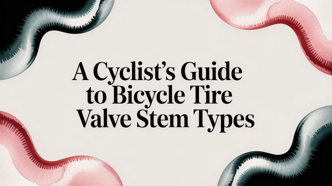 A Cyclist's Guide to Bicycle Tire Valve Stem Types