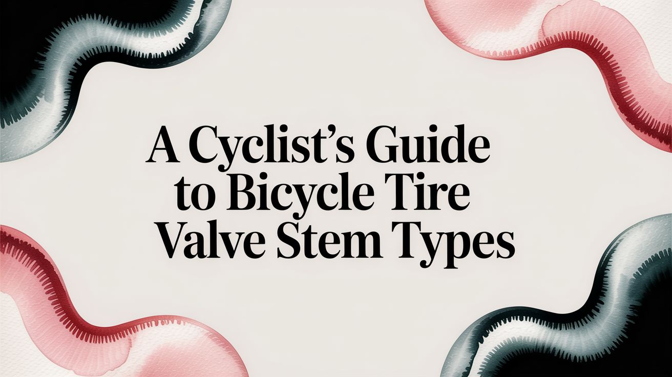 A Cyclist's Guide to Bicycle Tire Valve Stem Types