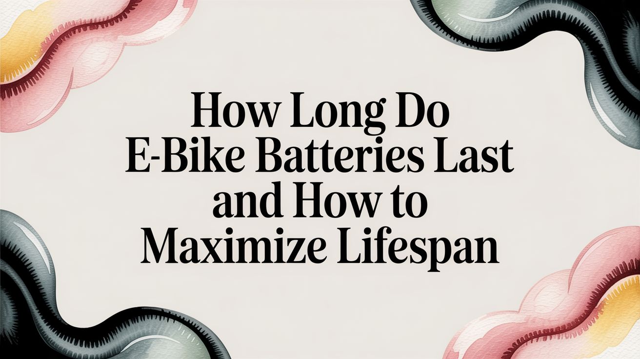 How Long Do Ebike Batteries Last And How to Maximize Lifespan